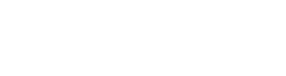 Servicios Aduanales GGM